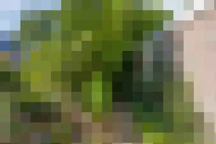 Horstlindelaan 165 Enschede thumbnail 29