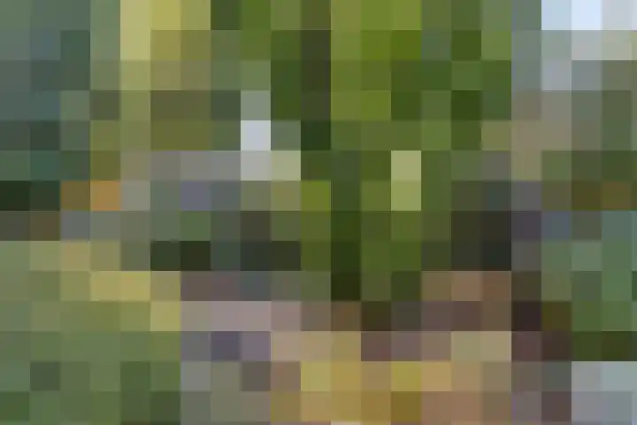 Horstlindelaan 165 Enschede thumbnail 30
