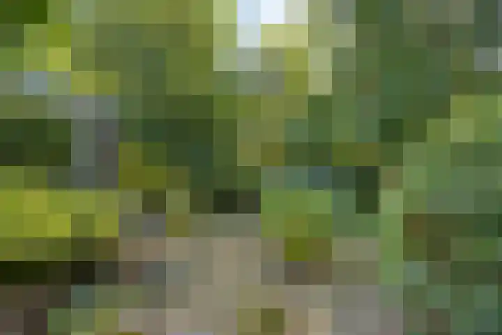 Horstlindelaan 165 Enschede thumbnail 31