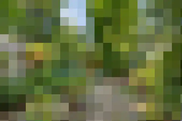 Horstlindelaan 165 Enschede thumbnail 32