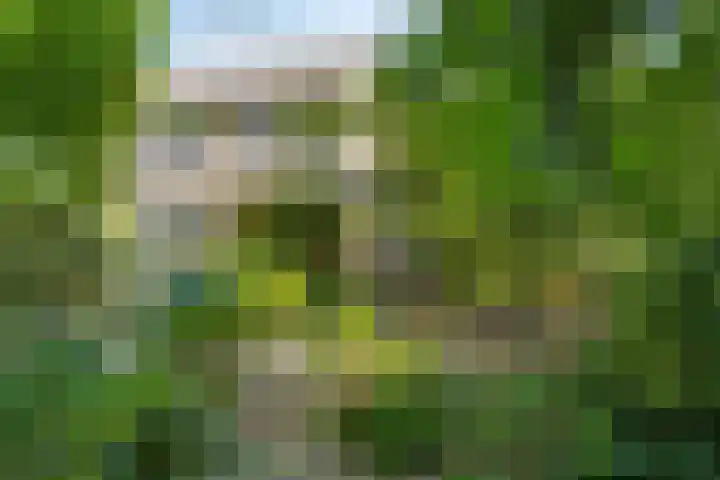 Horstlindelaan 165 Enschede thumbnail 33