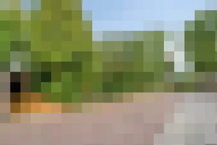 Horstlindelaan 165 Enschede thumbnail 34