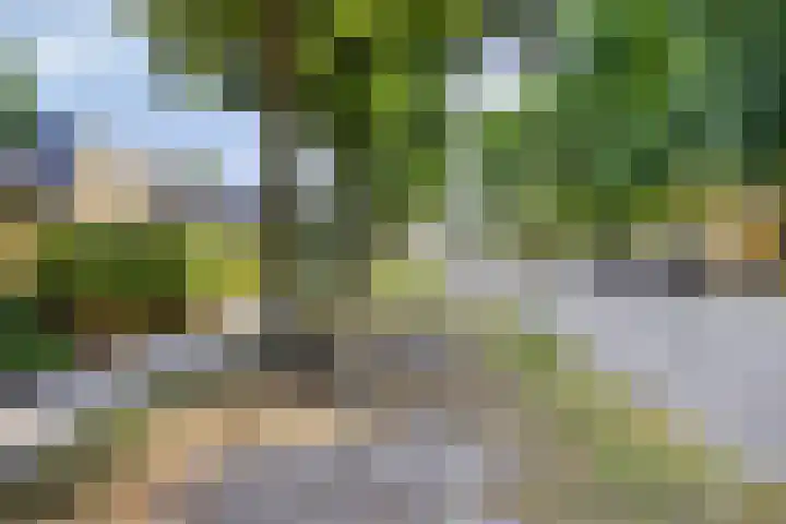 Horstlindelaan 165 Enschede thumbnail 35