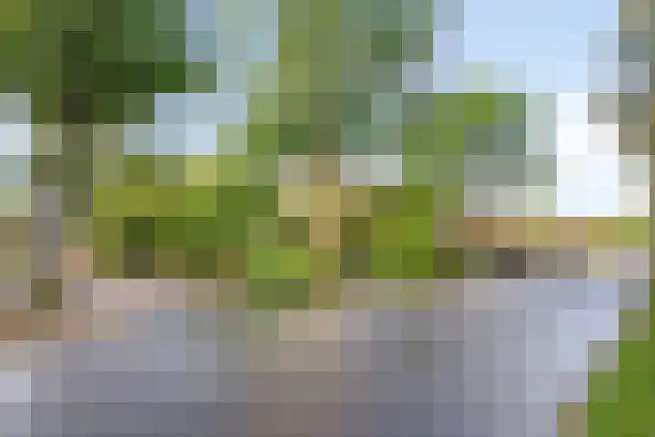 Horstlindelaan 165 Enschede thumbnail 7
