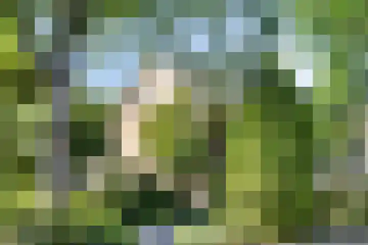 Horstlindelaan 165 Enschede thumbnail 8