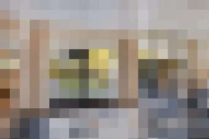 Horstlindelaan 18 Enschede thumbnail 10