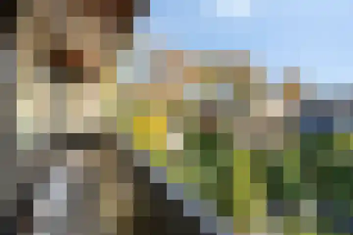 Horstlindelaan 18 Enschede thumbnail 27