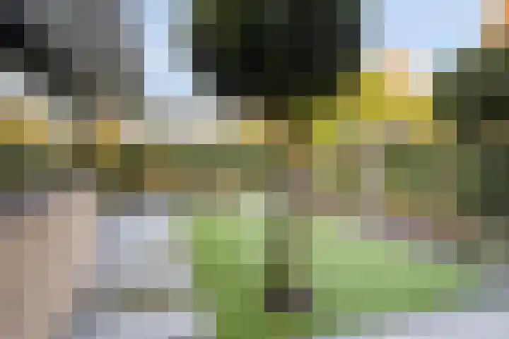Horstlindelaan 18 Enschede thumbnail 39