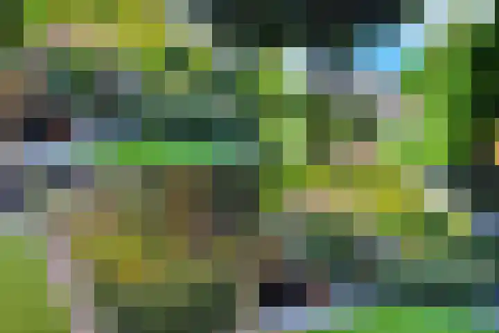 Horstlindelaan 18 Enschede thumbnail 42
