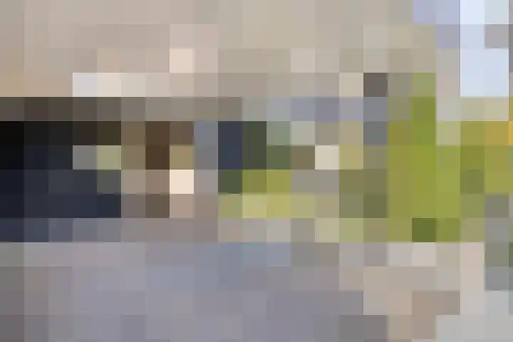 Horstlindelaan 18 Enschede thumbnail 7