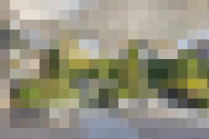 Horstlindelaan 18 Enschede thumbnail 8