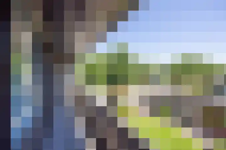 Horstlindelaan 29 Enschede thumbnail 16