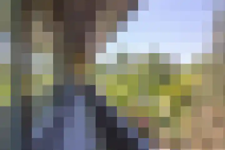 Horstlindelaan 29 Enschede thumbnail 19