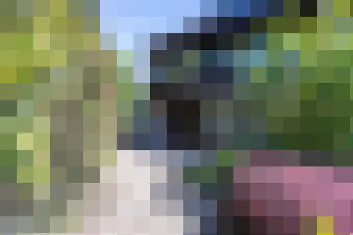 Horstlindelaan 29 Enschede thumbnail 35