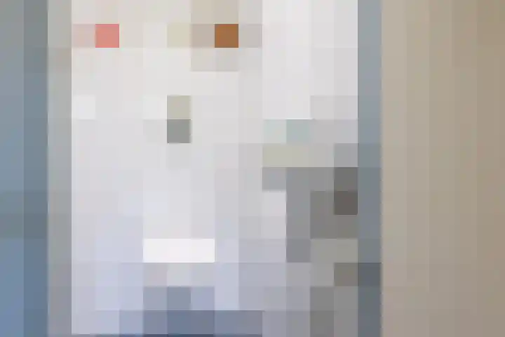 Horstlindelaan 29 Enschede thumbnail 8