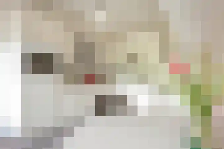 Horstlindelaan 30 Enschede thumbnail 11
