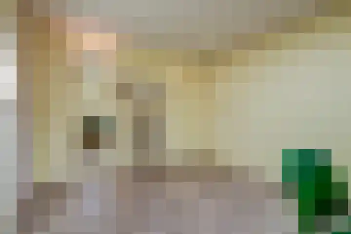 Horstlindelaan 30 Enschede thumbnail 16