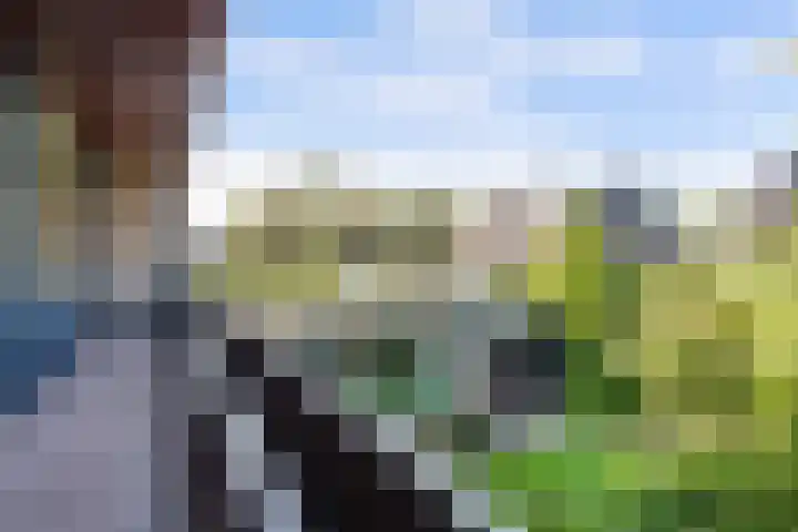 Horstlindelaan 30 Enschede thumbnail 29