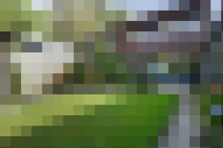 Horstlindelaan 30 Enschede thumbnail 30