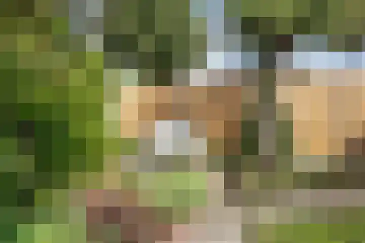 Horstlindelaan 30 Enschede thumbnail 33