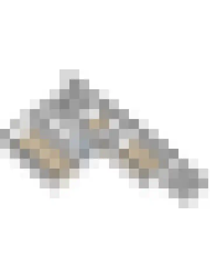 Horstlindelaan 30 Enschede thumbnail 39