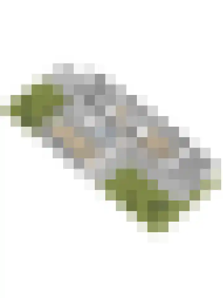 Horstlindelaan 30 Enschede thumbnail 41
