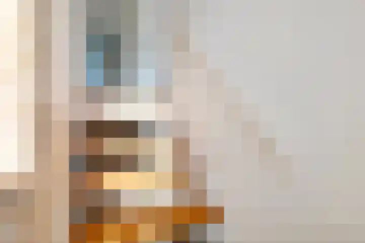 Horstlindelaan 34 Enschede thumbnail 33