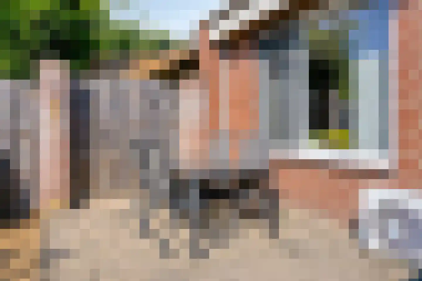 Horstpeel 4 Heibloem thumbnail 25