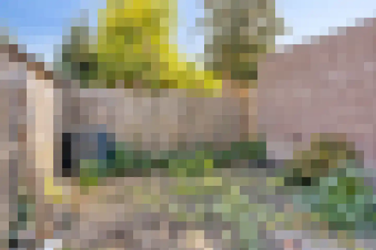 Horstpeel 4 Heibloem thumbnail 26