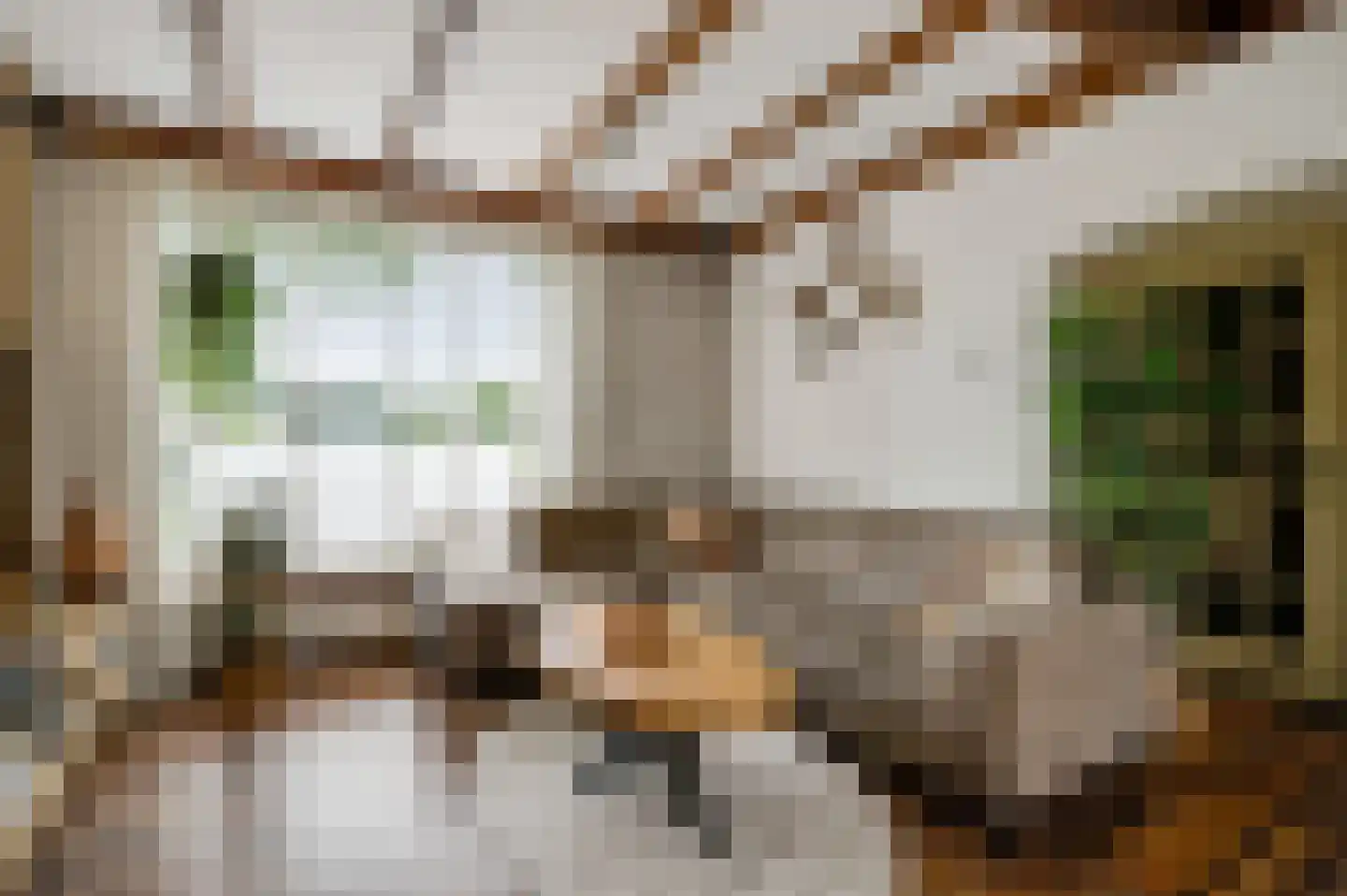 Horstpeel 8 Heibloem thumbnail 10