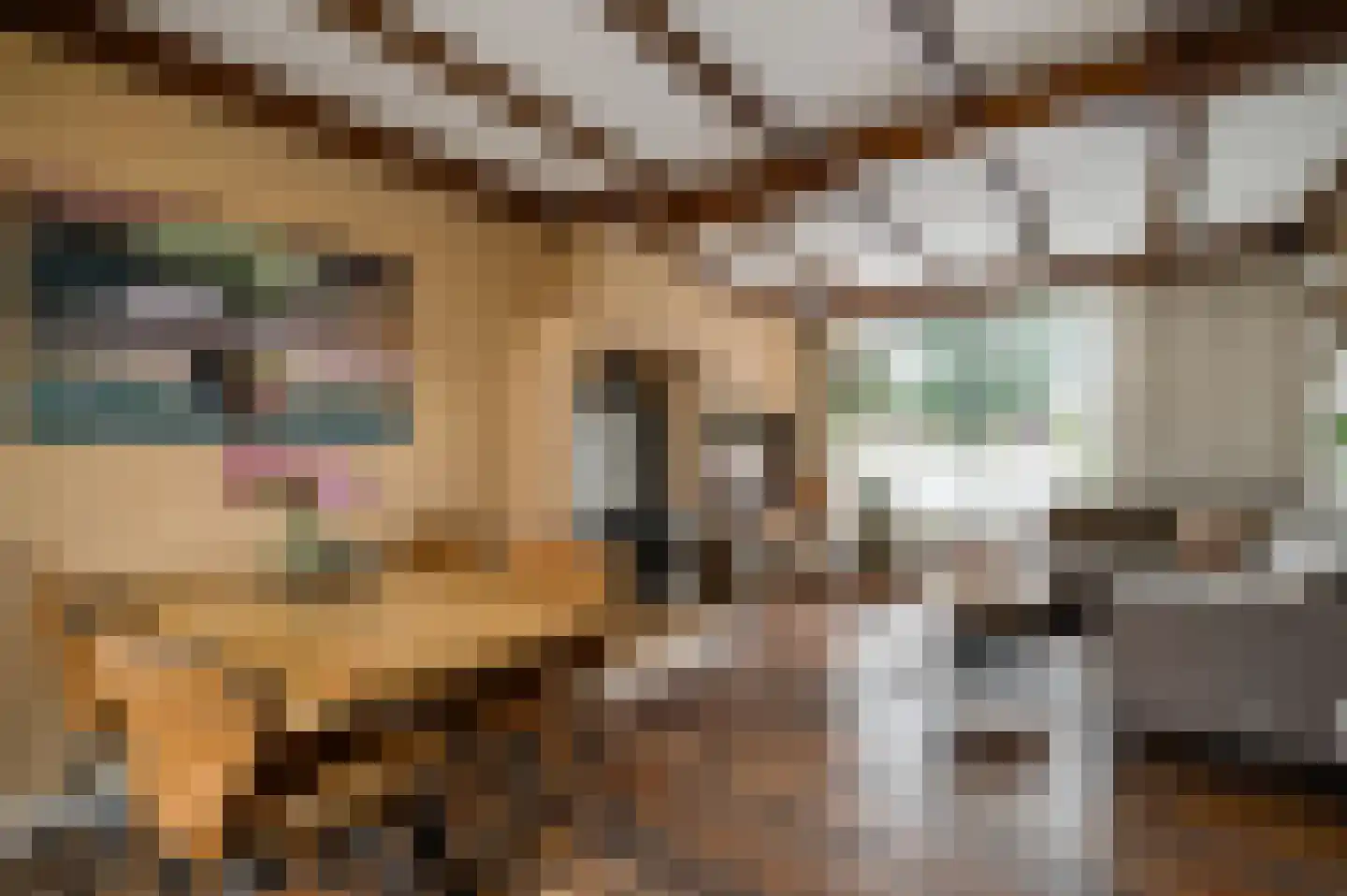 Horstpeel 8 Heibloem thumbnail 14