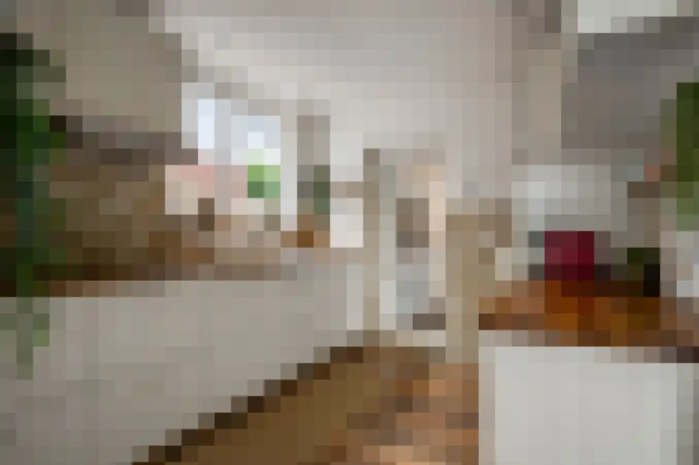 Horstpeel 8 Heibloem thumbnail 15