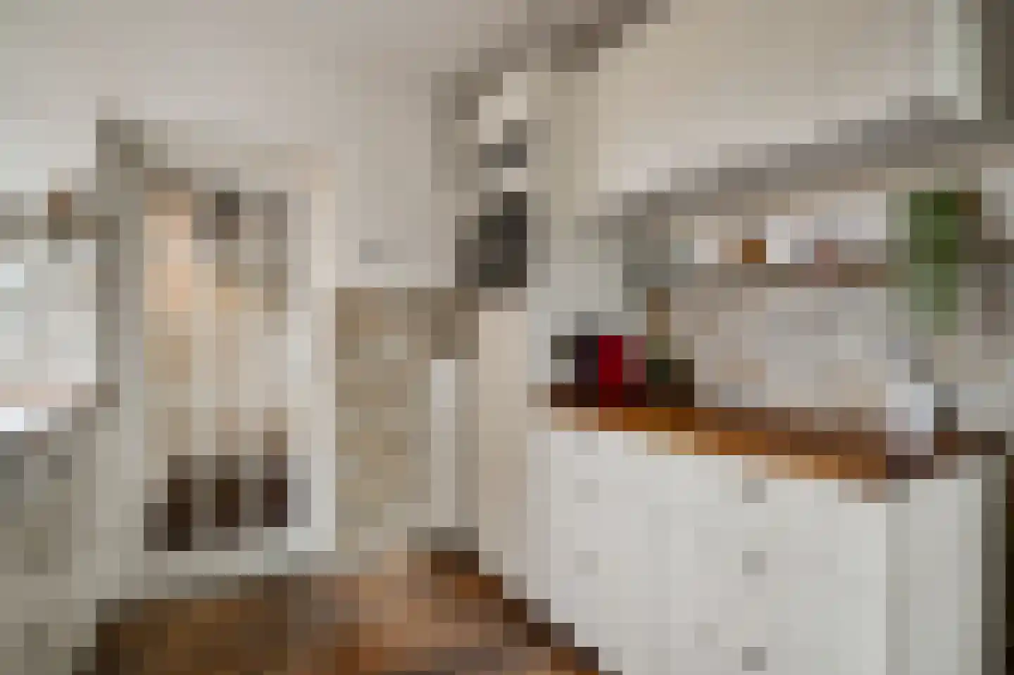 Horstpeel 8 Heibloem thumbnail 16