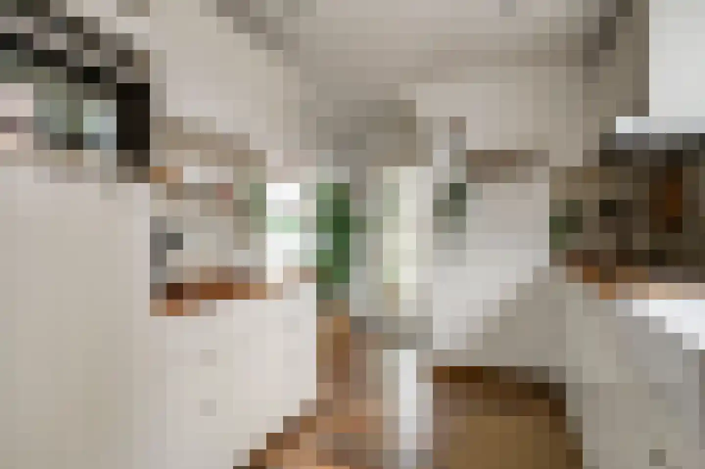 Horstpeel 8 Heibloem thumbnail 17