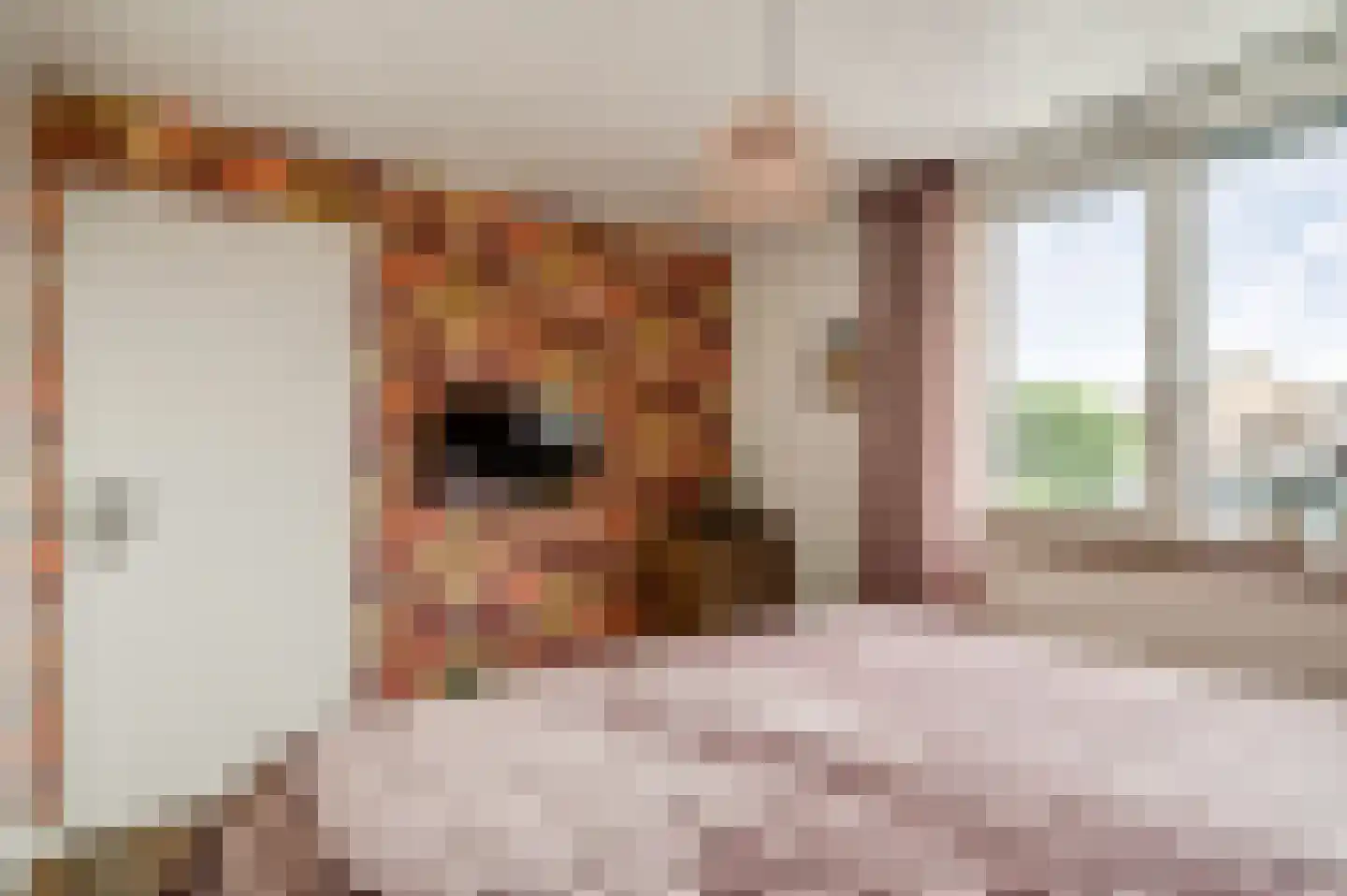 Horstpeel 8 Heibloem thumbnail 25