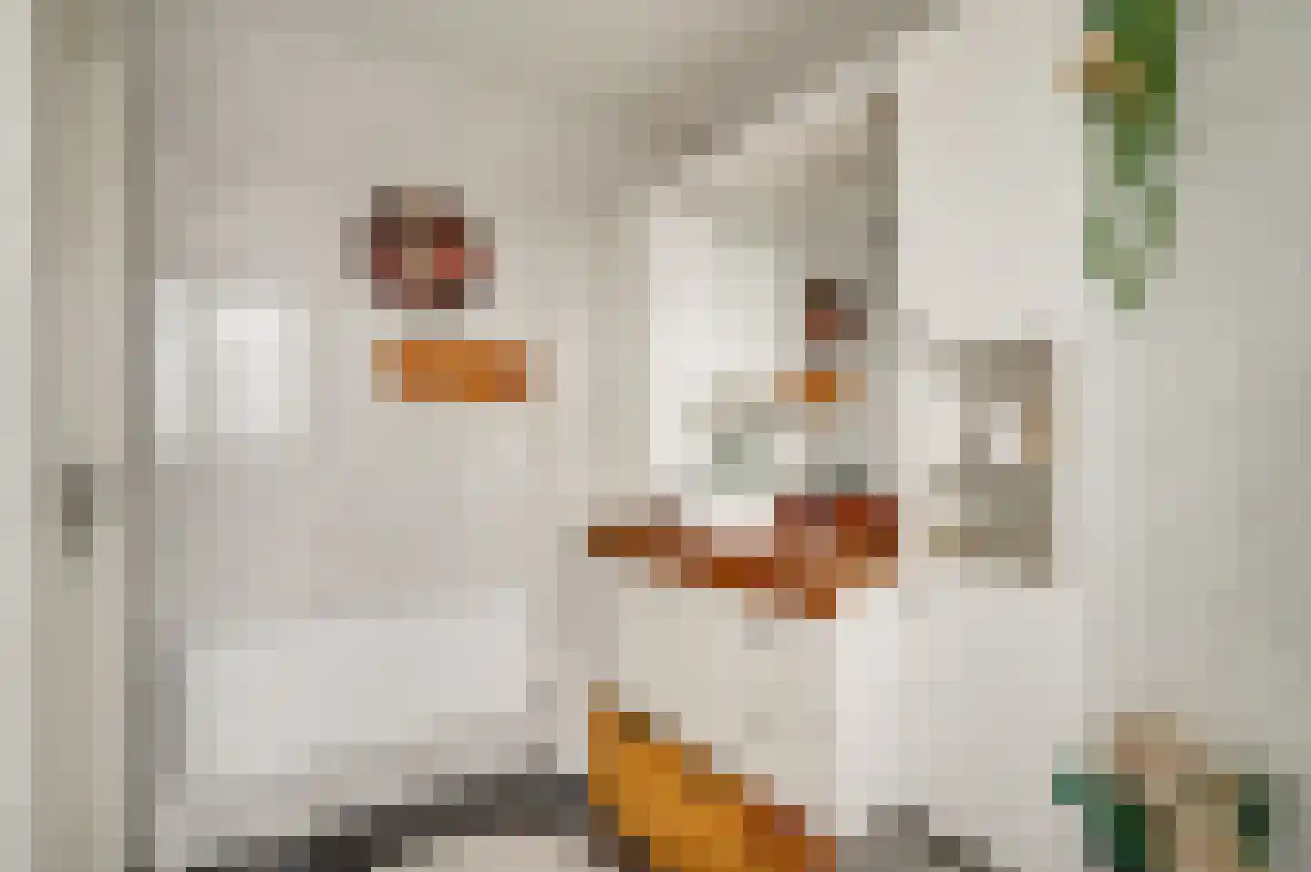 Horstpeel 8 Heibloem thumbnail 29