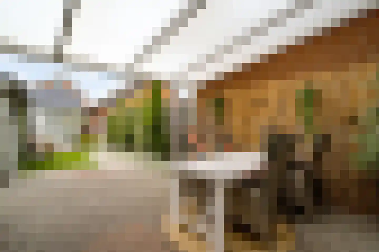 Horstpeel 8 Heibloem thumbnail 33