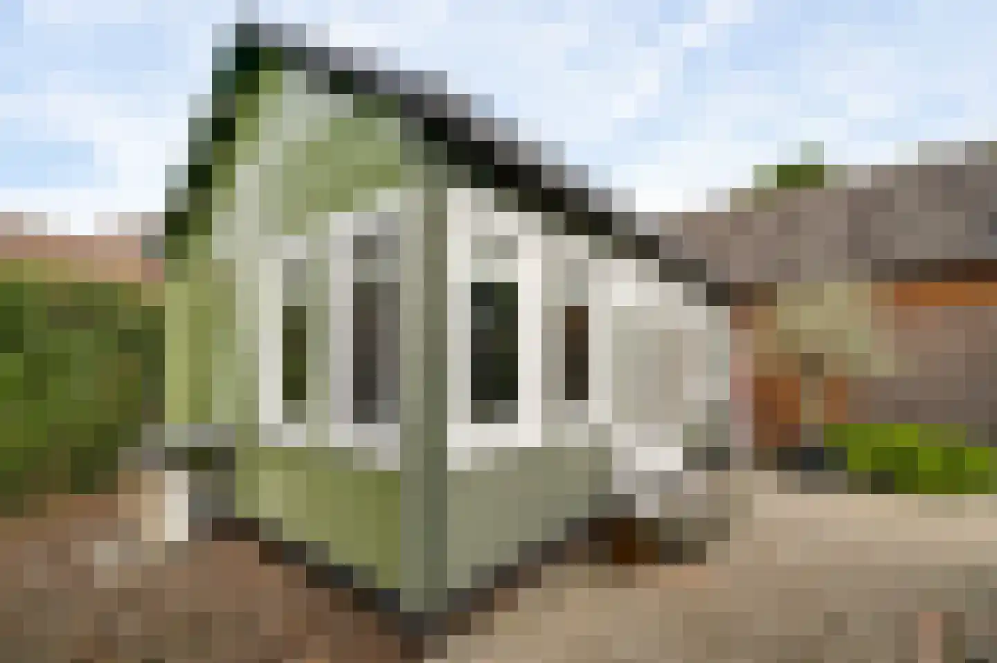 Horstpeel 8 Heibloem thumbnail 38