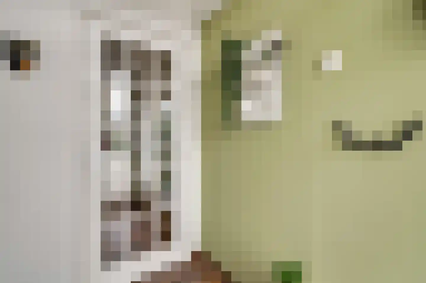 Horstpeel 8 Heibloem thumbnail 5