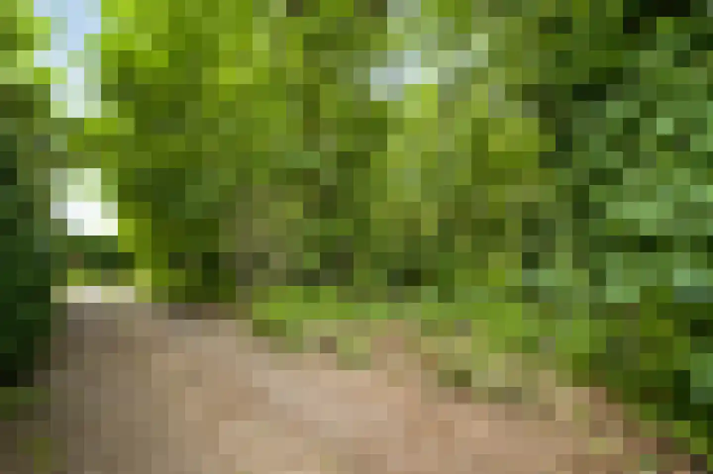 Horstpeel 8 Heibloem thumbnail 52