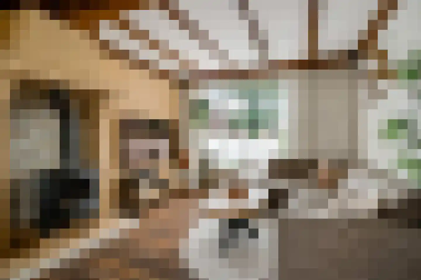 Horstpeel 8 Heibloem thumbnail 9