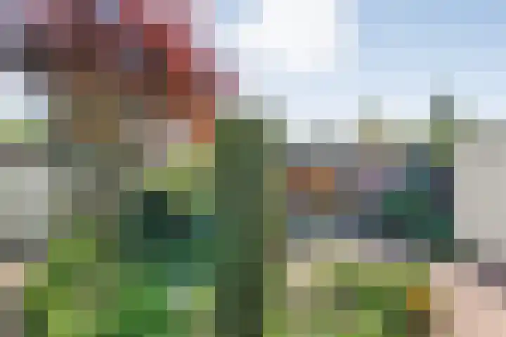 Horstra's wijk 36 De Krim thumbnail 37