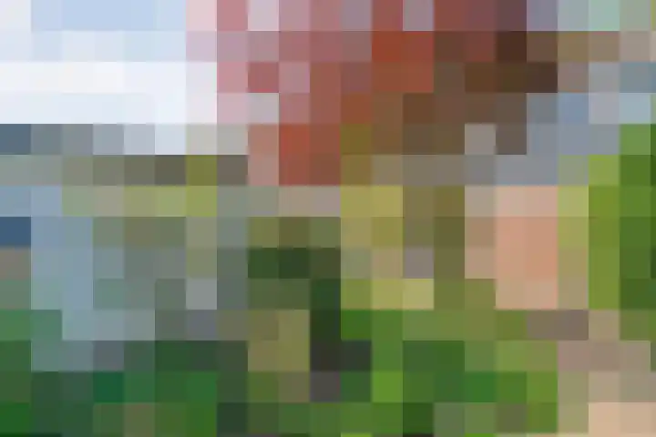 Horstra's wijk 36 De Krim thumbnail 38