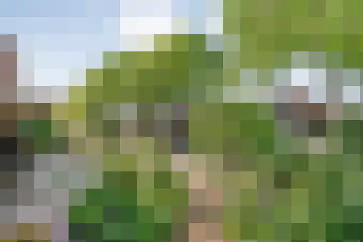 Horstra's wijk 36 De Krim thumbnail 40