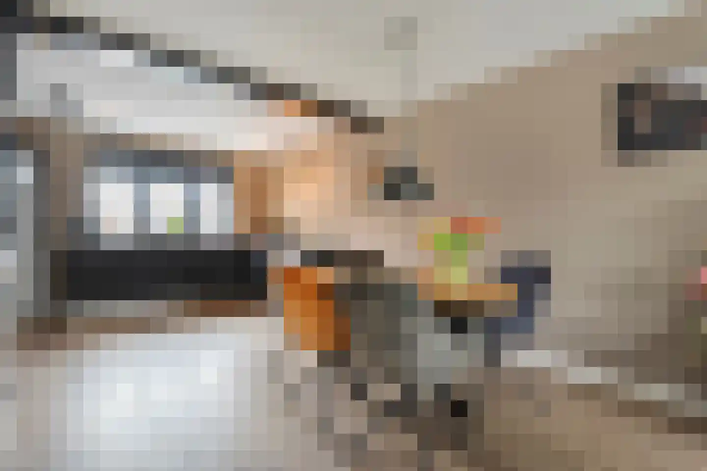 Horstra's wijk 37 b De Krim thumbnail 15