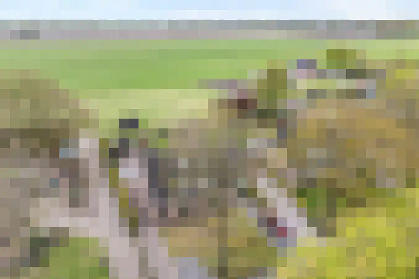Horstra's wijk 37 b De Krim thumbnail 4
