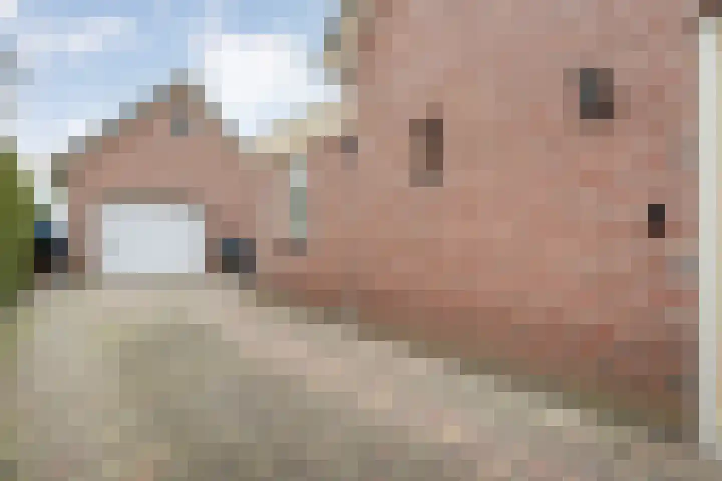 Horstra's wijk 37 b De Krim thumbnail 8