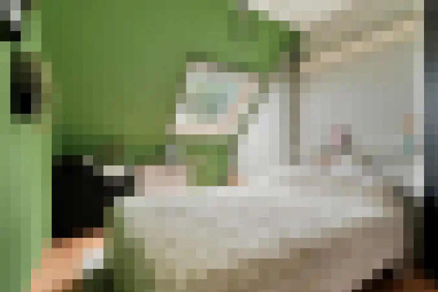 Horstra's wijk 9 De Krim thumbnail 31
