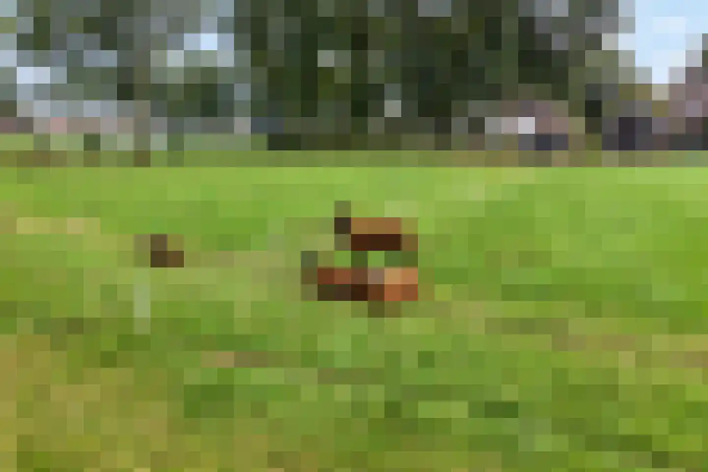 Horstra's wijk 9 De Krim thumbnail 4