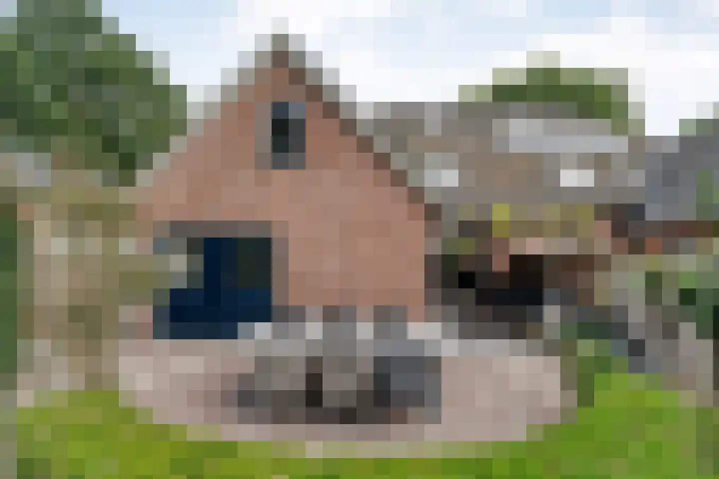 Horstra's wijk 9 De Krim thumbnail 46